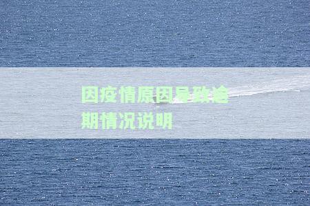 因疫情原因导致逾期情况说明-因疫情原因导致逾期情况说明模板