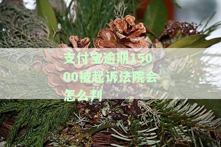 支付宝逾期一千块钱被起诉法院会受理吗？真实情况是什么？