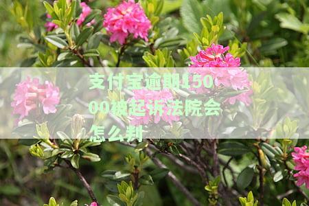 支付宝逾期15000被起诉法院会怎么判