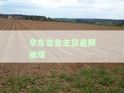 京东企业主贷秒拒：原因及解决办法，是否影响征信？