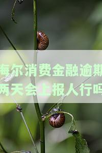 海尔消费金融逾期两天会上报人行吗