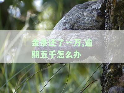 金条还了一万,逾期五千怎么办