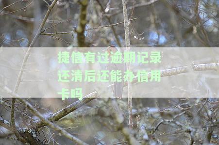 捷信有过逾期记录还清后能否再办信用卡？影响及解决方法