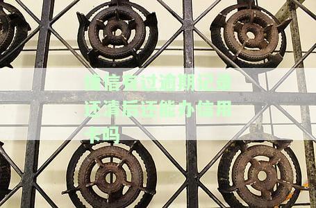 捷信有过逾期记录还清后还能办信用卡吗？安全吗？