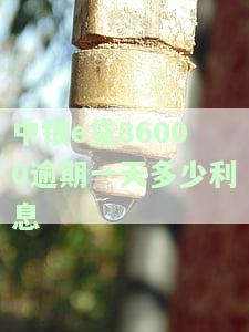 中银e贷86000逾期一天利息计算方法及可能的法律后果