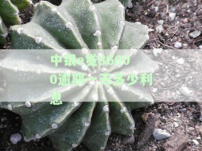 中银e贷逾期2天会怎么样？征信多久有记录？晚还两天怎么解决？逾期三天后利息是否影响再次贷款？
