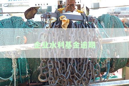 企业水利基金逾期处理方法及流程全解析