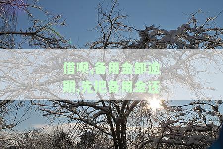 借呗逾期备用金不让用了，还完还要我结清？