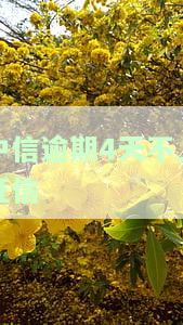 中信银行还款逾期四天上征信后能否撤销？错过6天还能用吗？