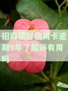 招商银行信用卡逾期9年了起诉有用吗