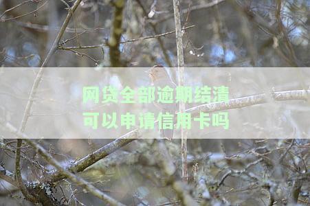 网贷逾期结清后能否再次贷款？影响及解决办法