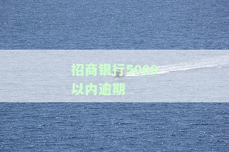 招商银行5000以内逾期处理方法及可能后果