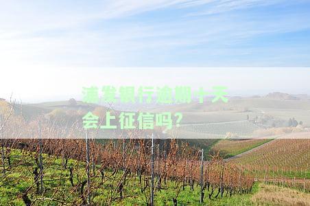 浦发银行逾期十天会否上征信？如何处理？需全额还款吗？协商方式是什么？逾期10天被冻结意味着什么？