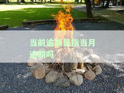 当前逾期是指当月逾期吗