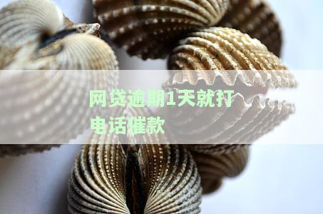 网贷逾期1天就打电话催款-网贷逾期1天就打电话催款怎么办