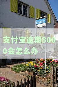 支付宝逾期800多天，案件处理情况如何？