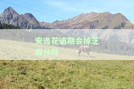 安逸花逾期是否会影响支付宝使用、额度和信用？包括信用卡、借呗、花呗及微粒贷的影响