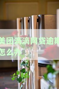 美团网贷款逾期后还款，能否再次借款？