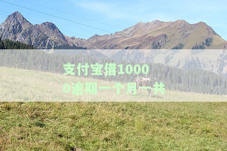 支付宝逾期一万多，每月还三四百，可行吗？知乎上有人这么做吗？安全吗？逾期一个月要还多少钱？