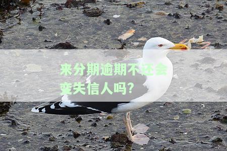 来分期逾期不还会变为失信人吗？影响及解决办法
