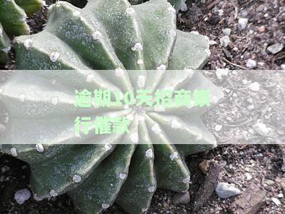 逾期10天招商银行催款有用吗？影响征信吗？