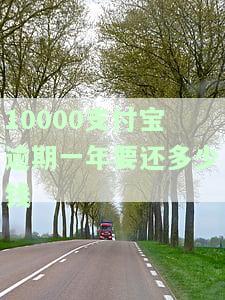 10000支付宝逾期一年要还多少钱费用？逾期一年多没还，会坐牢吗？