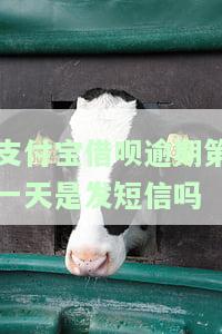 支付宝借呗逾期第一天是发短信吗-支付宝借呗逾期第一天是发短信吗是真的吗