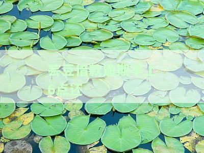 2021芸豆借款逾期一天：影响、后果及解决方案
