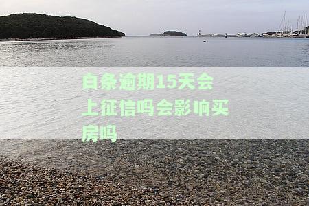 白条逾期16天会否影响征信及购房？