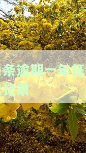 白条逾期一年征信无记录，如何解决？