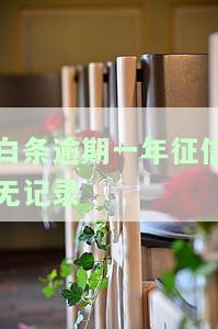 白条逾期一年征信无记录-白条逾期一年征信无记录怎么办