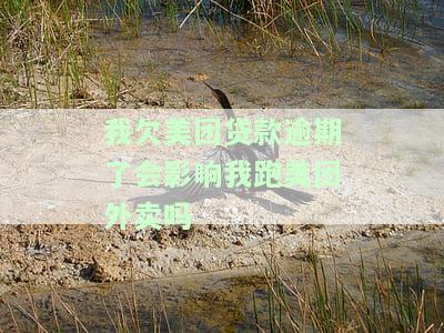 我欠美团贷款逾期会影响跑美团外卖吗？