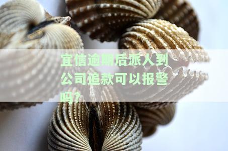 宜信逾期后派人到公司追款可以报警吗？怎么处理？