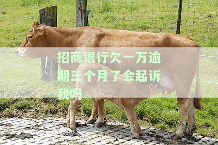 招商银行欠一万逾期三个月了会起诉我吗知乎？借款未还，是否会面临刑事责任？