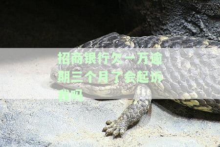 欠招商银行一万逾期三个月，最低还款可行吗？会被起诉或刑事拘留吗？上门催收可能性大吗？