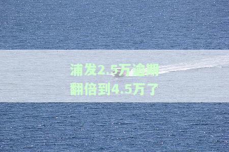 浦发2.5万逾期翻倍到4.5万了-浦发逾期后还最低是不是24小时后就解封?