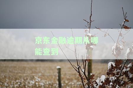 京东金融逾期记录找客服是否能消除？影响征信吗？