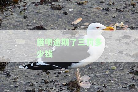 借呗逾期了三罚多少钱？如何计算、查询及解决罚款问题？