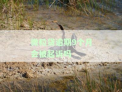 微粒贷逾期9个月是否会被起诉？解决方案是什么？
