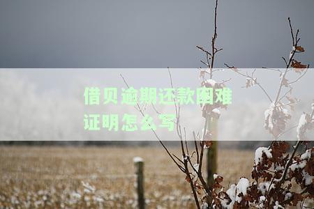 借贝逾期还款困难证明怎么写