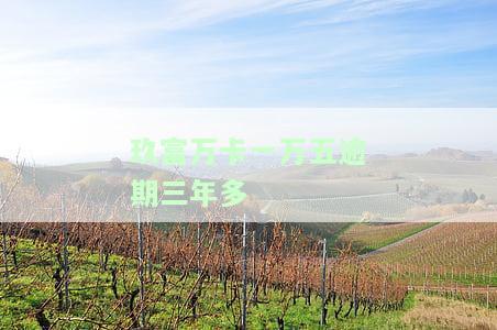 玖富万卡逾期一年多后处理方法及可能后果