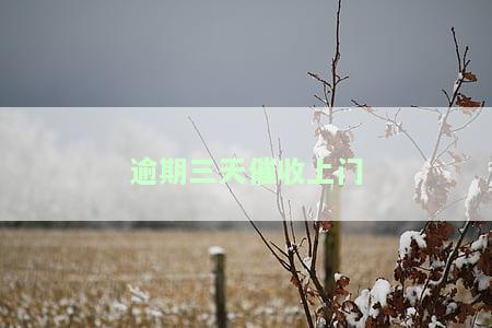 逾期三天催收上门怎么办？是否会上门催收？是正规公司吗？是否会打电话给朋友催收？