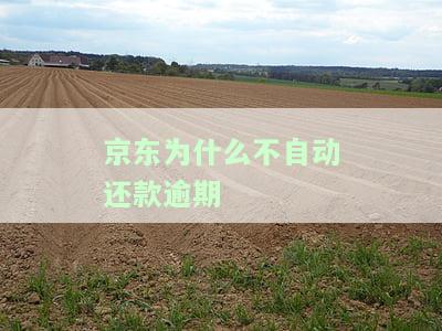 京东为什么不自动还款逾期一天？用户反映无法按时还款，账户被限制使用