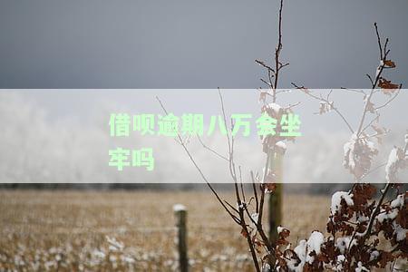 借呗逾期八万会坐牢吗？知乎用户分享经验与观点