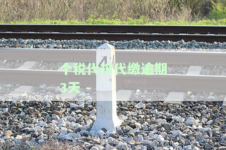 个税代扣代缴逾期3天怎么办？逾期扣款问题及解决方法