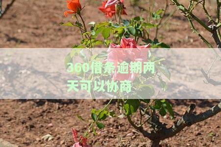 逾期两天能否协商还本金？如何操作？已还款多久可再次借款？知乎探讨