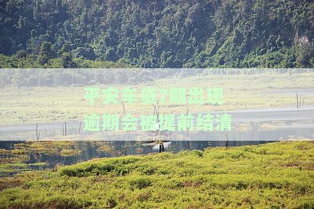 平安车贷逾期十天：对方称可全部还清，扣车风险存在，合同是否会被提前止？