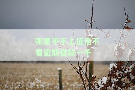 在哪里能不看征信借1千块或2000元？
