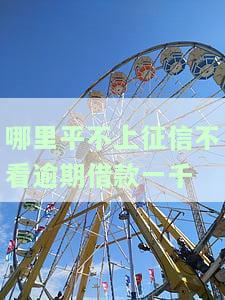 哪个平台不上征信？易下款、快速借钱，全攻略！