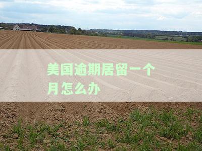 在美国逾期滞留能否去其他国家？解决方案是什么？